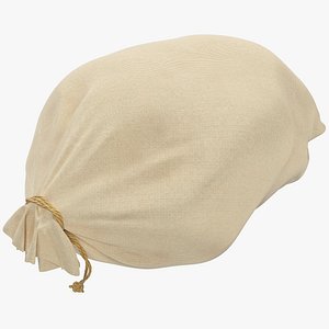Sack V6 3D model