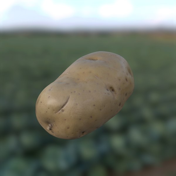 realistic potato 3D