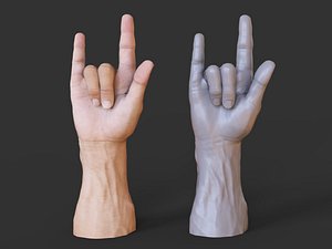3D Male Hand Pose 12 model