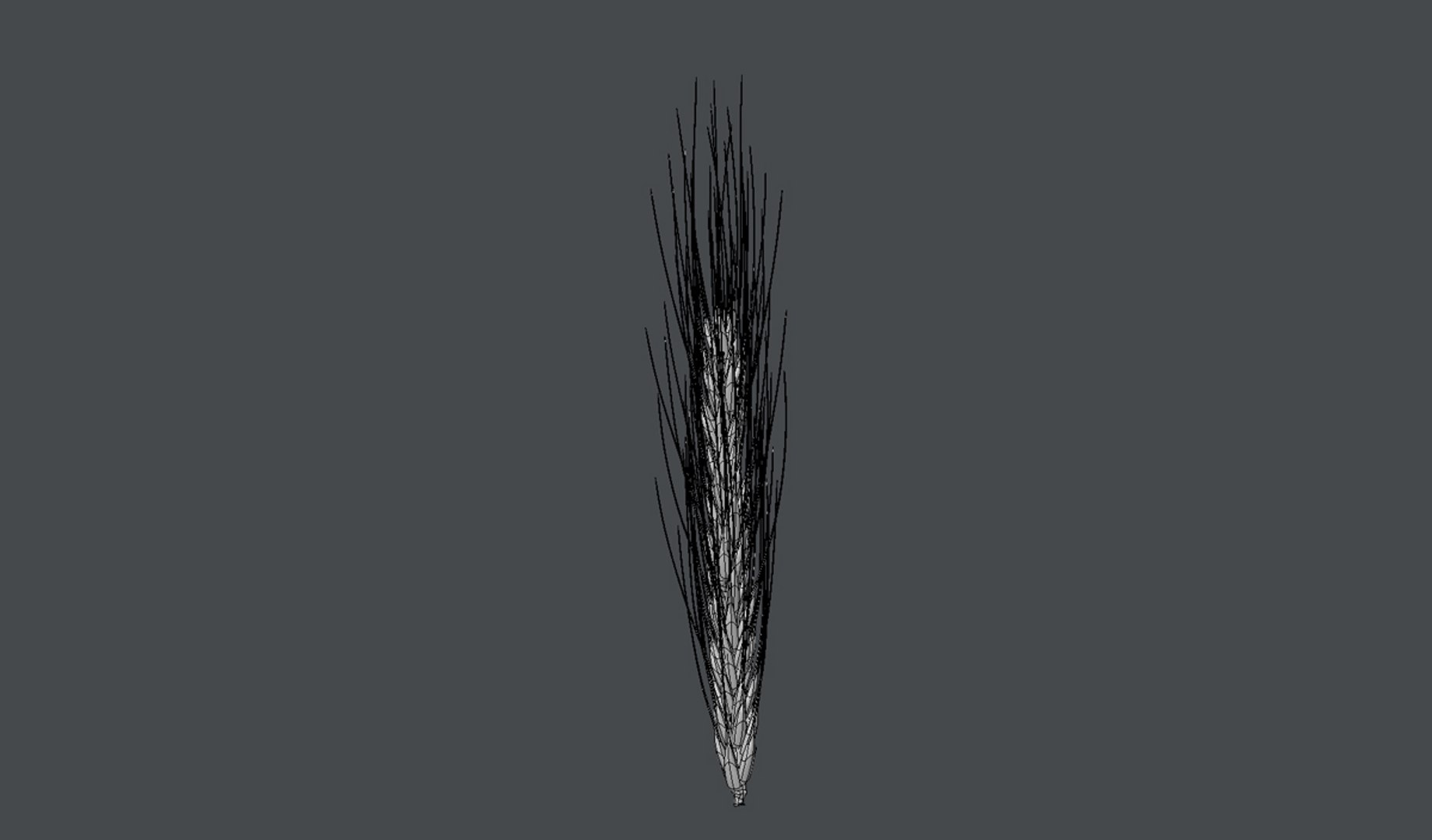 3d model wheat spike - https://p.turbosquid.com/ts-thumb/g0/5z7N78/8JV2TSsa/e/jpg/1395935561/1920x1080/fit_q87/a0fbc087bc85f753d375927a1b4d6c6c173344a5/e.jpg