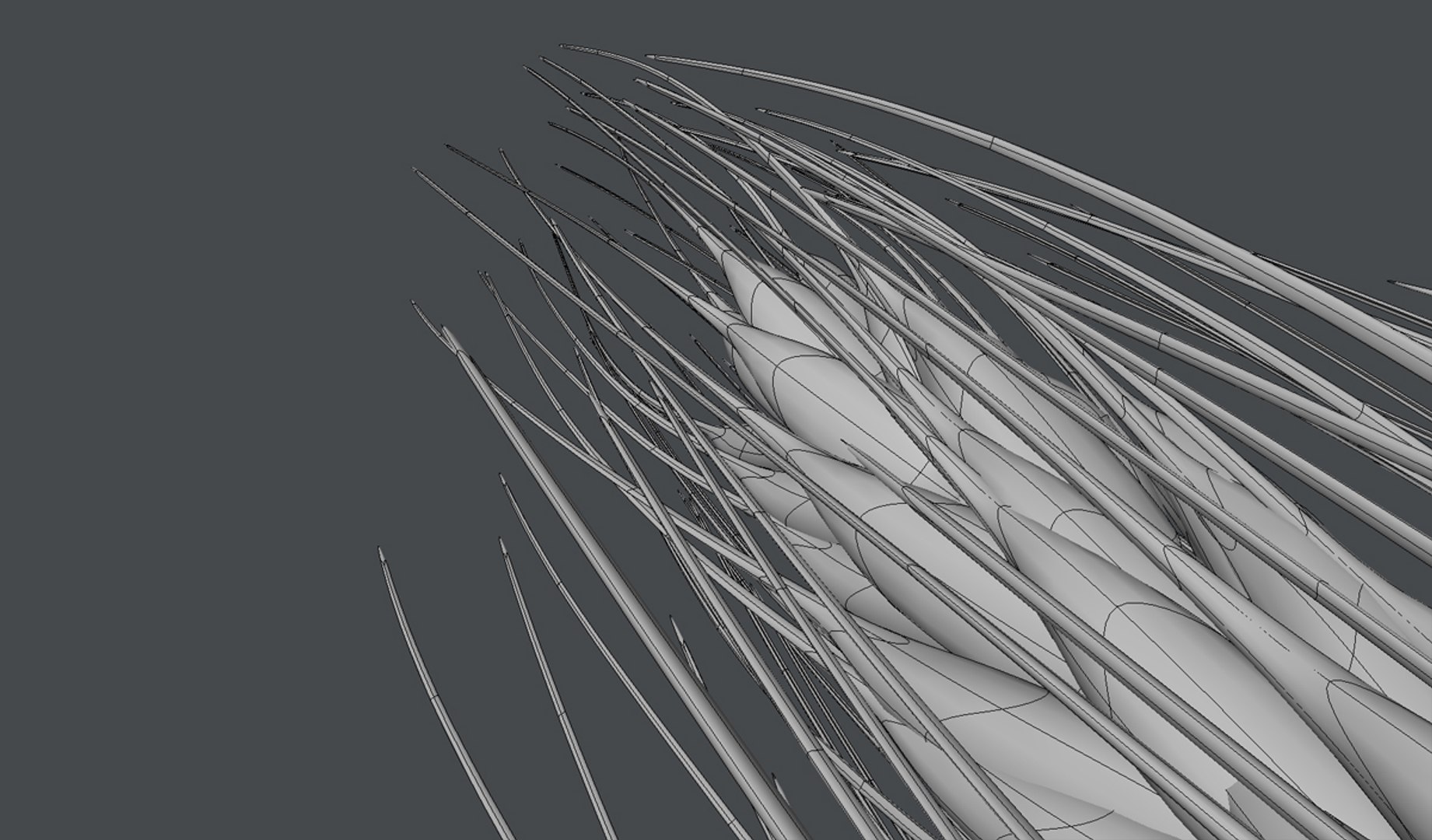 3d model wheat spike - https://p.turbosquid.com/ts-thumb/g0/5z7N78/8YATx5Td/d/jpg/1395935561/1920x1080/fit_q87/90d84cd9536e1dd9f38c71ac611a02959cd519cd/d.jpg