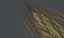 HD Wheat - spike