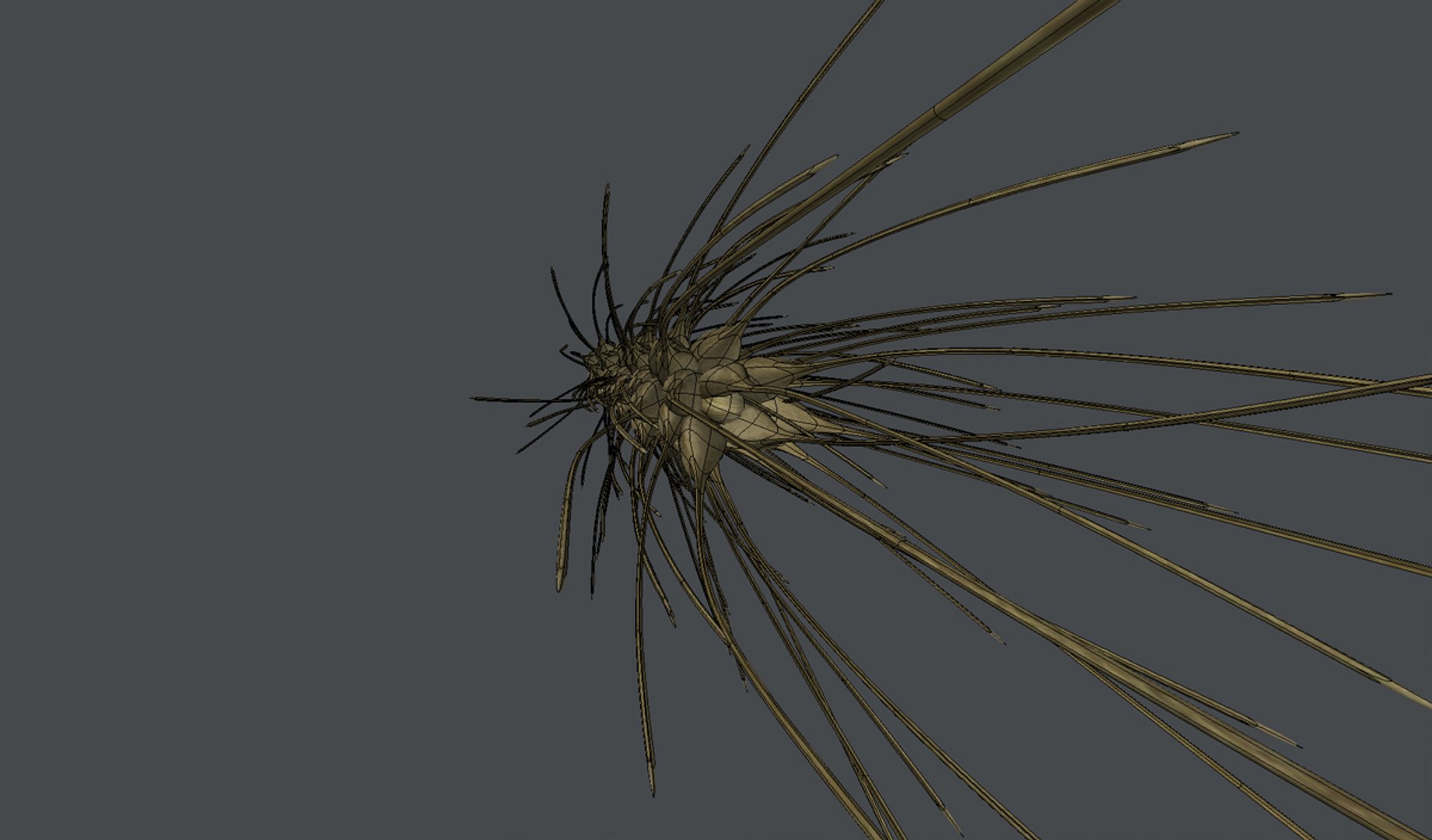 3d model wheat spike - https://p.turbosquid.com/ts-thumb/g0/5z7N78/QvmvXVCq/b/jpg/1395935561/1920x1080/fit_q87/d35270621974a8ca9070bcde10d92761d1cc1c5a/b.jpg