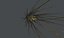 HD Wheat - spike