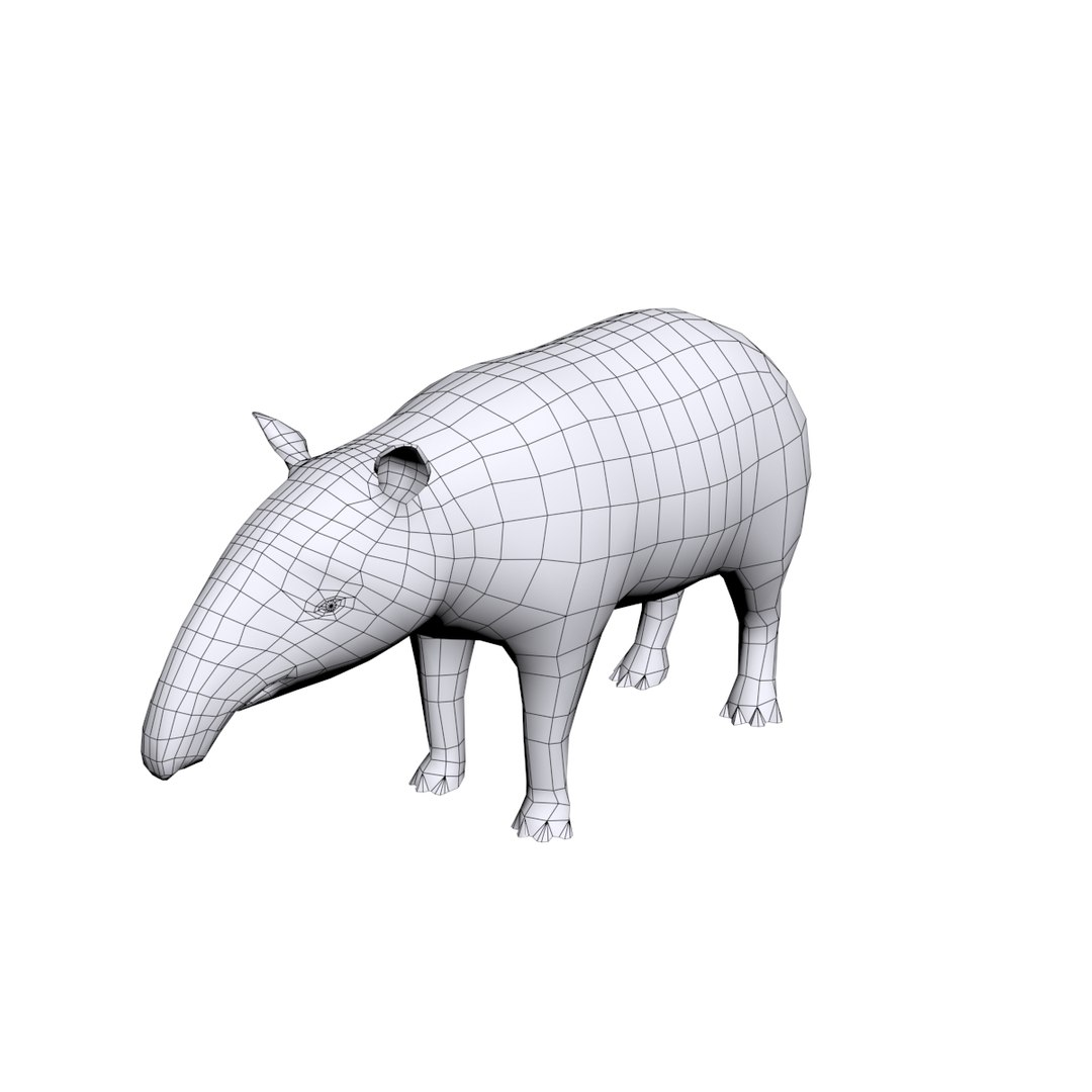 3D tapir base https://p.turbosquid.com/ts-thumb/g0/Hc00TQ/TvMXbyjx/3/jpg/1491904955/1920x1080/fit_q87/3c781038847f349b9318e10107ec009c4d9219cb/3.jpg