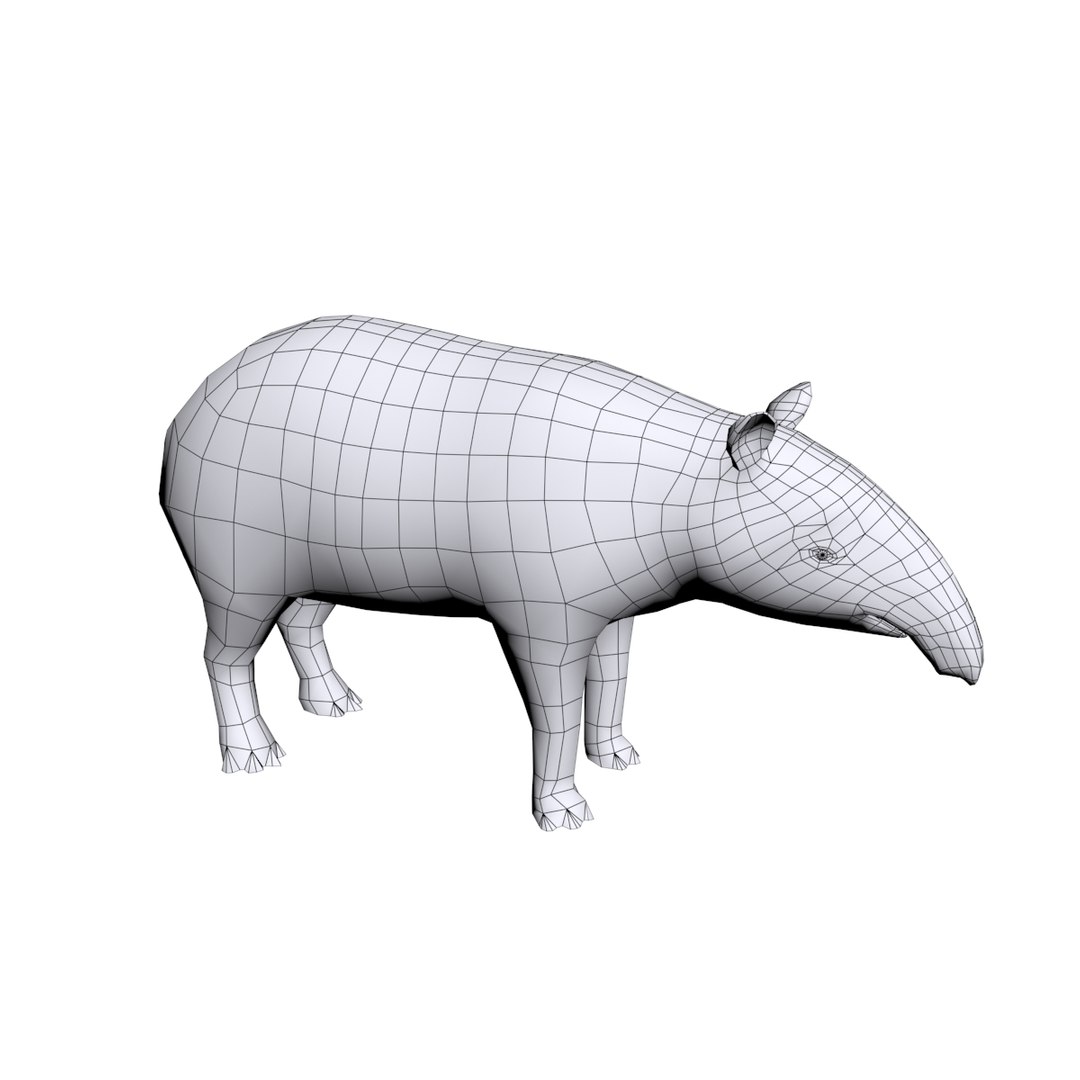3D tapir base https://p.turbosquid.com/ts-thumb/g0/Hc00TQ/j8x5l73y/4/jpg/1491904956/1920x1080/fit_q87/d99ddd6353b84a5e9c2be834ae6d0849d47b7498/4.jpg