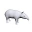 Tapir 3D Base mesh