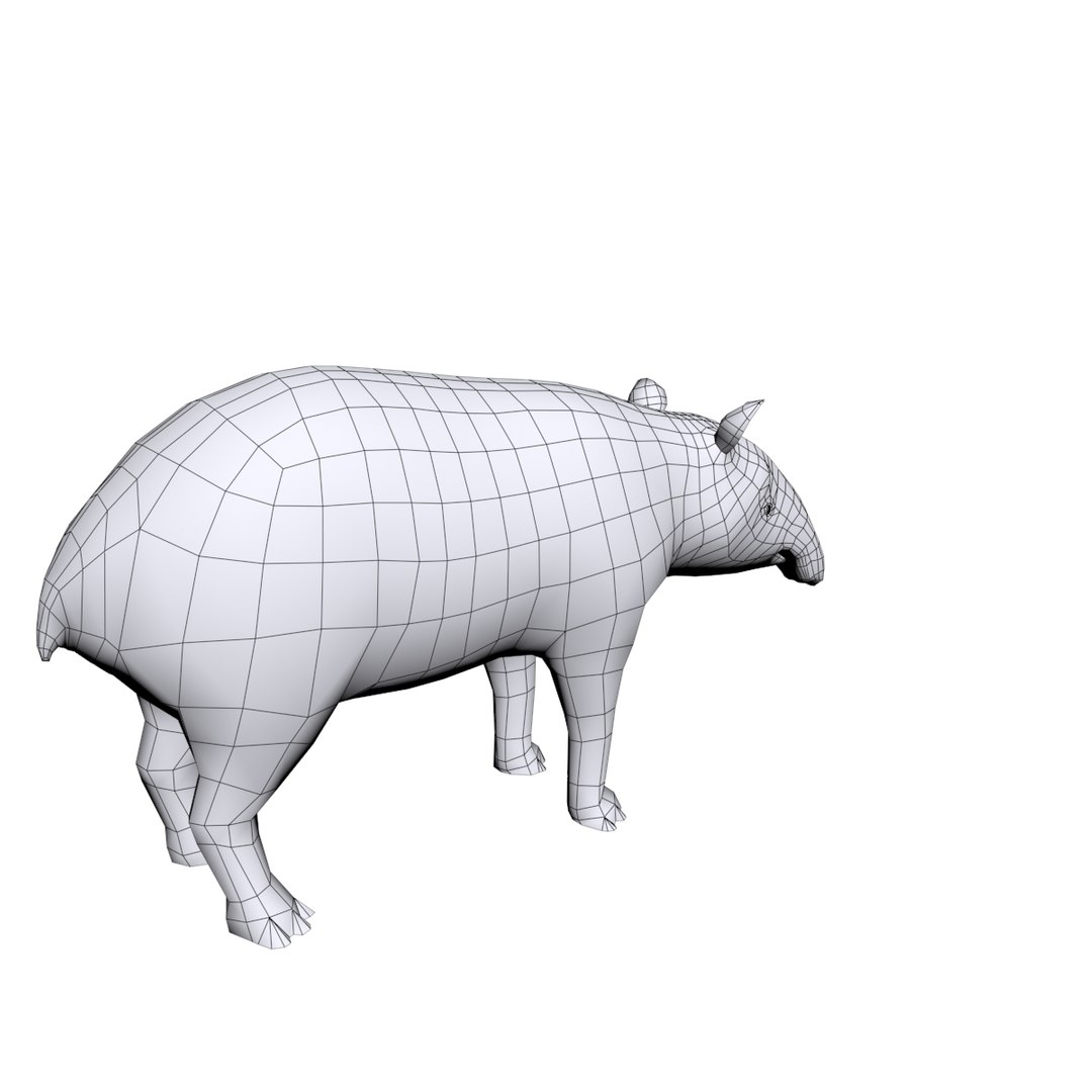 3D tapir base https://p.turbosquid.com/ts-thumb/g0/Hc00TQ/xgn1BSvV/5/jpg/1491904956/1920x1080/fit_q87/15124430b9123f7d93a49aae7f238fe334f46a78/5.jpg