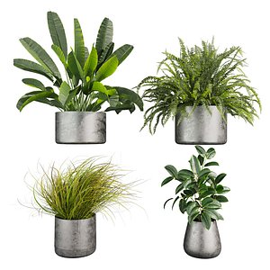 Collection plant vol 825 -  banana - fern - rubber - Cymbopogon 3D model