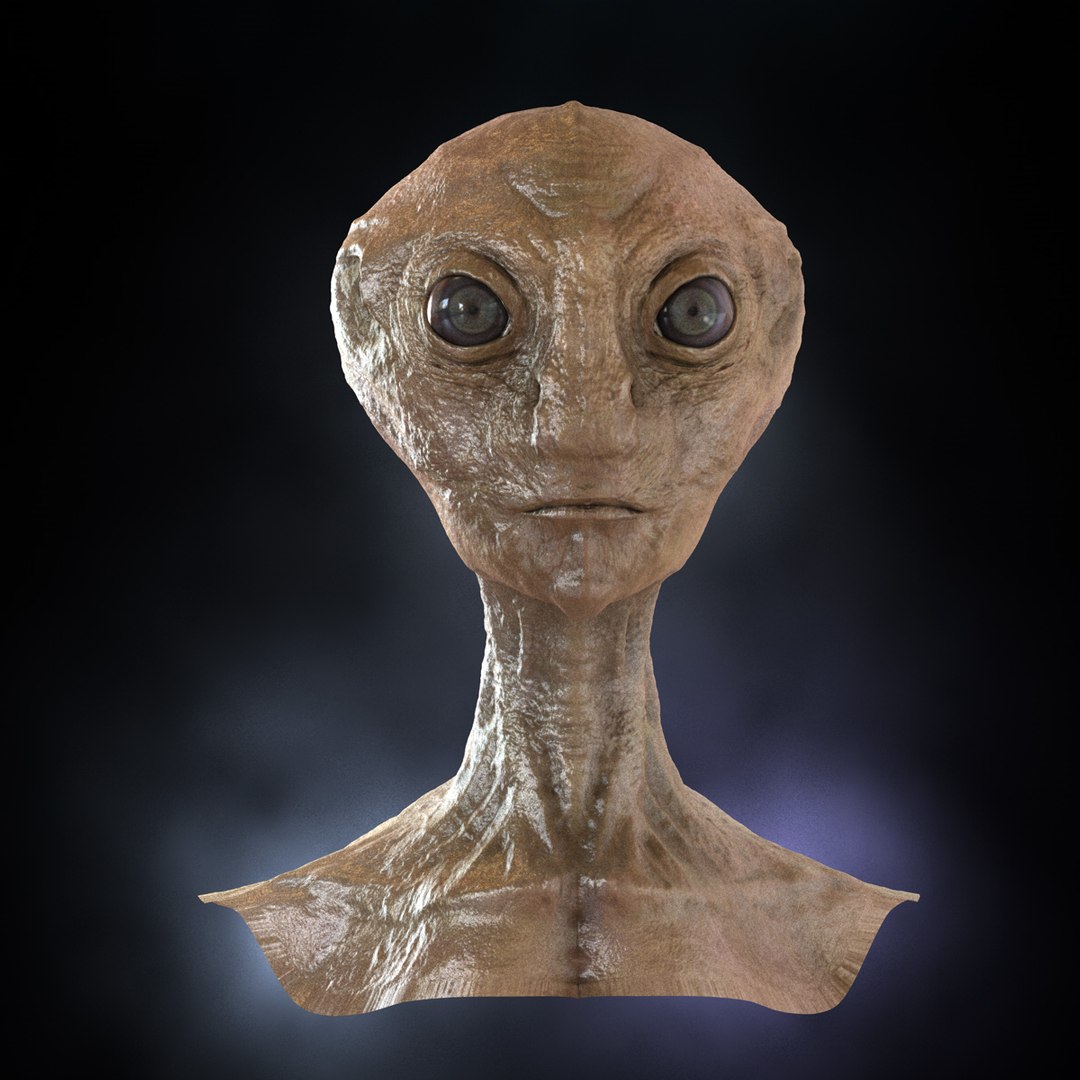  https://p.turbosquid.com/ts-thumb/g0/QJkkvZ/DoYdSQyC/render01/jpg/1349209992/1920x1080/fit_q87/b8231884decafa7ec2e2fdc501a3fb79a096f11d/render01.jpg