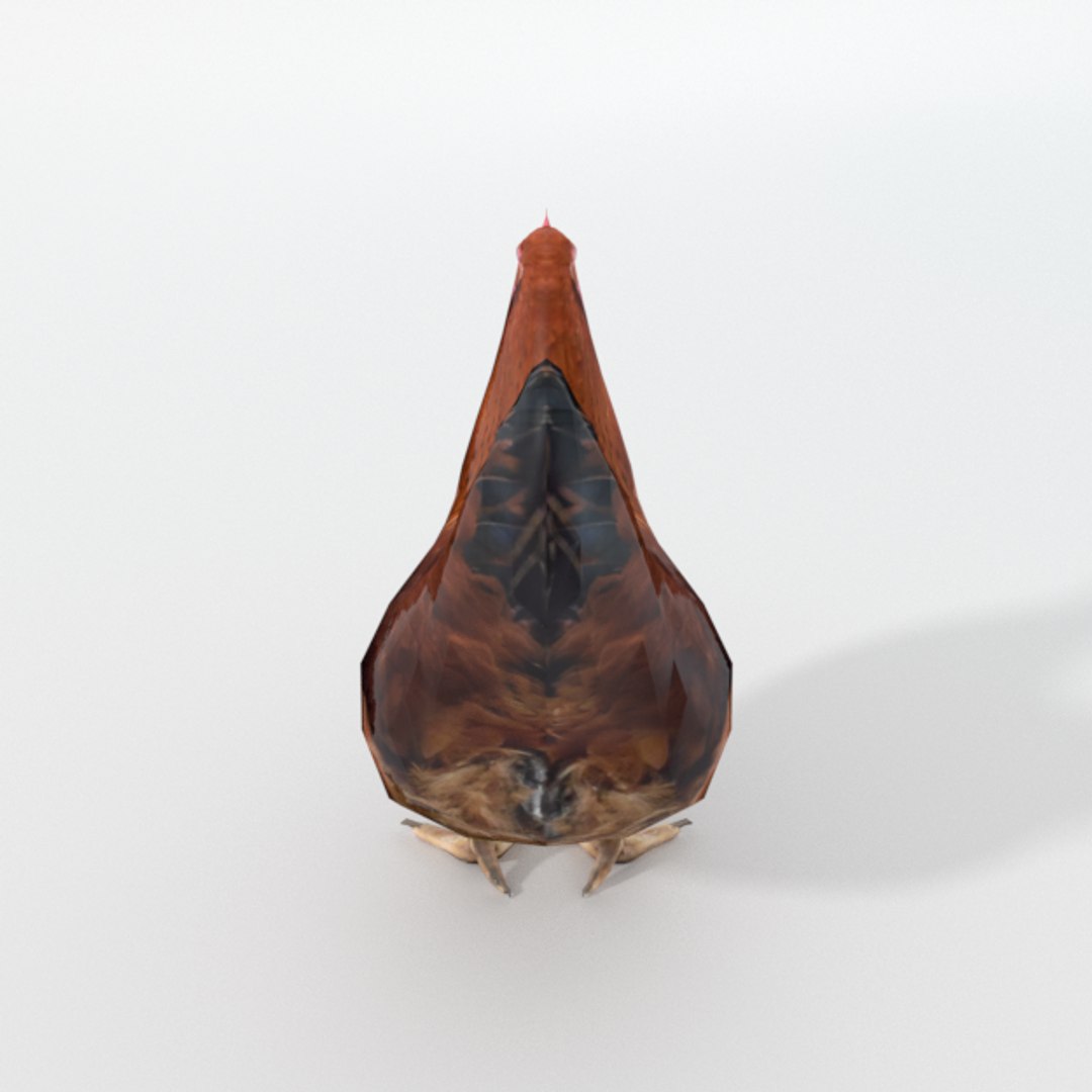 Chicken Model - TurboSquid 1322165