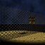 free max mode editable wire fence
