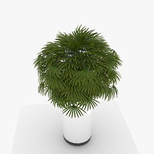 m108 Green plant in pot