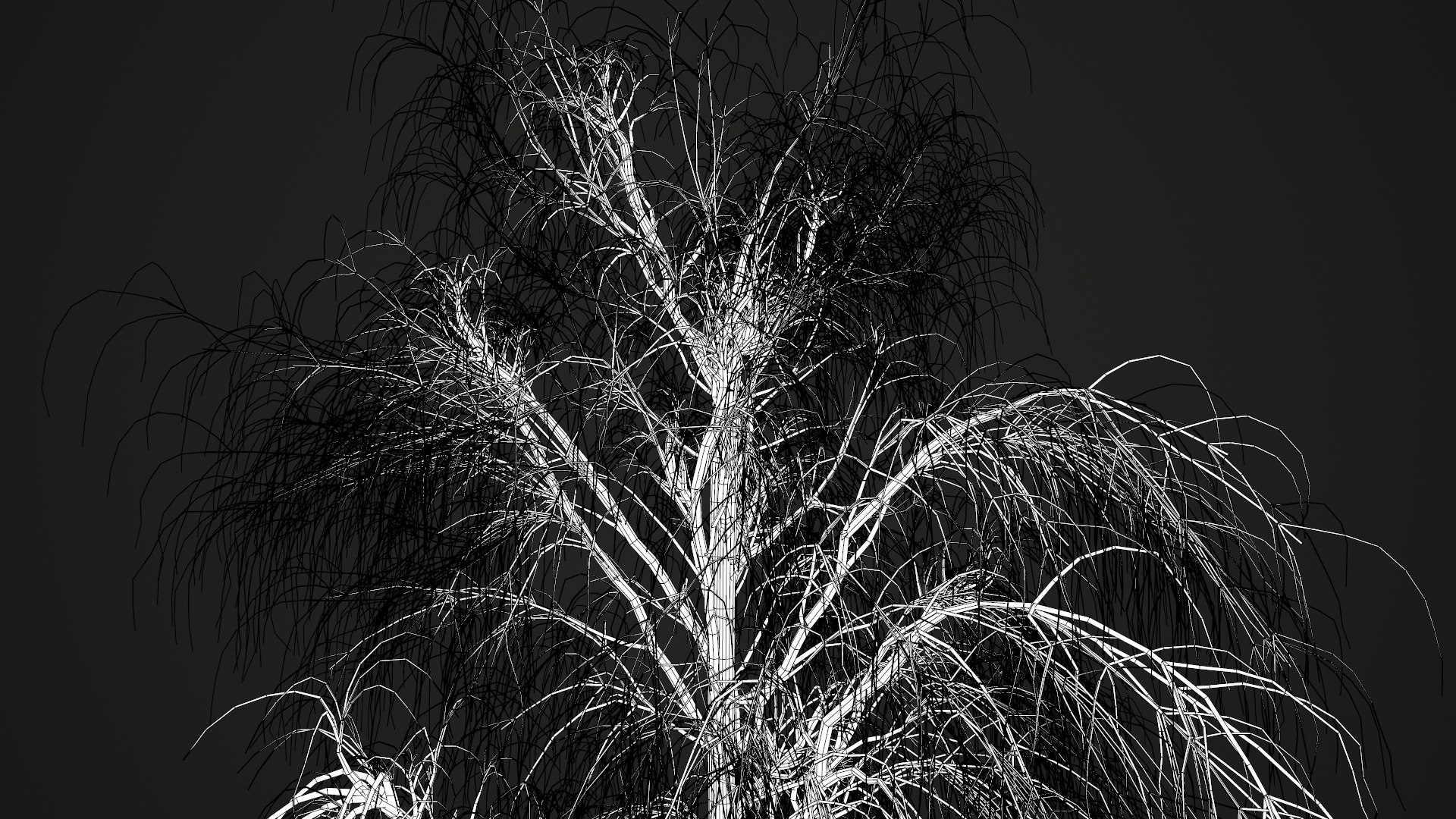 birch dry 2 tree 3D model https://p.turbosquid.com/ts-thumb/g0/eTarEY/76ymKb7M/wire9/jpg/1571247102/1920x1080/fit_q87/ae5ac221b097df19a02b4f40d781102e457e351b/wire9.jpg
