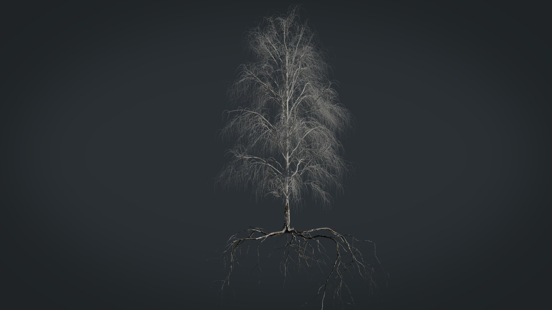 birch dry 2 tree 3D model https://p.turbosquid.com/ts-thumb/g0/eTarEY/9q7PgE9Y/render3/jpg/1571247102/1920x1080/fit_q87/4ae183dcb77cb2069a1394594965bf820019c8d8/render3.jpg
