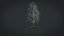 Birch Dry 2