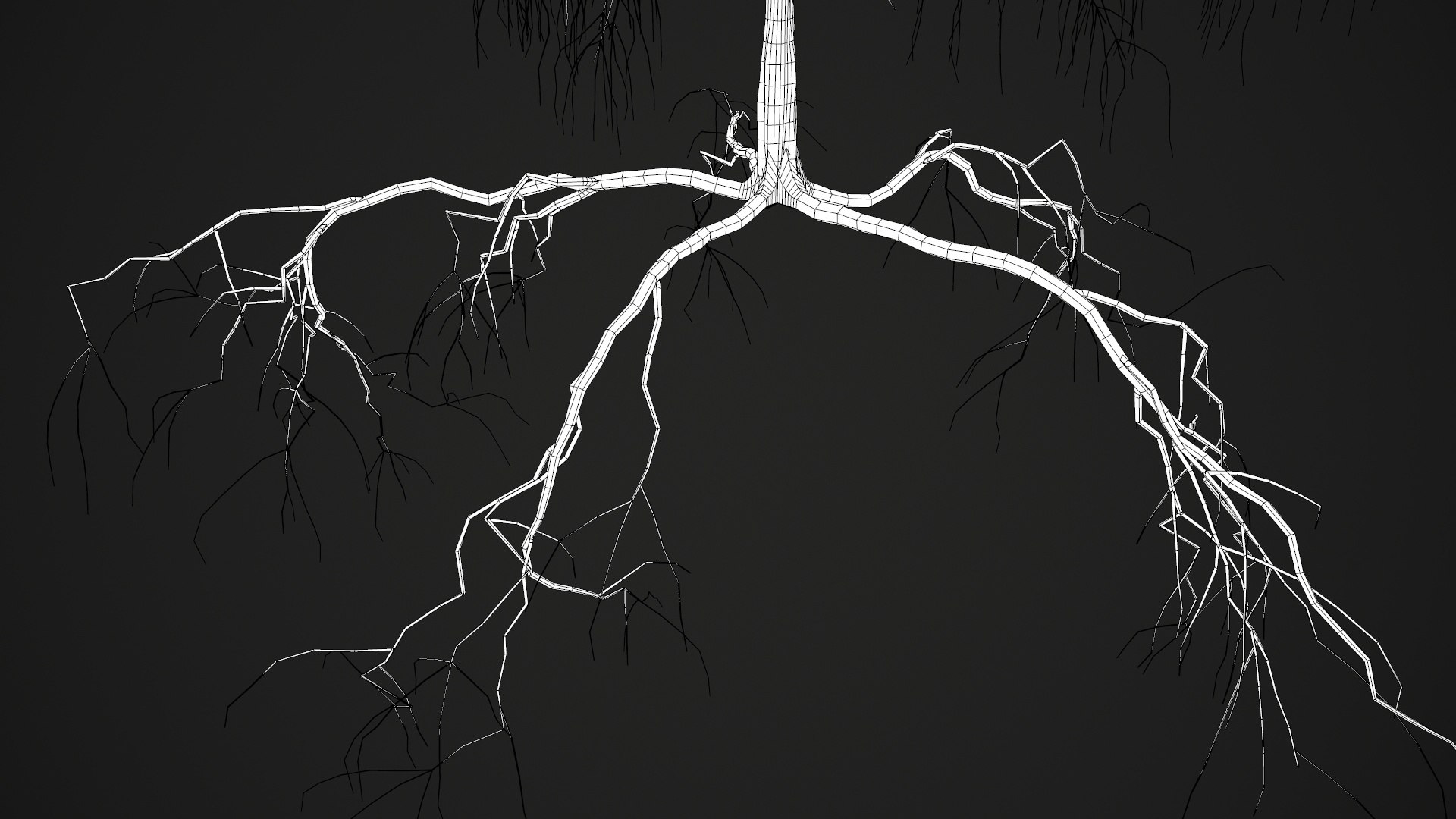birch dry 2 tree 3D model https://p.turbosquid.com/ts-thumb/g0/eTarEY/Bb6fasTI/wire6/jpg/1571247102/1920x1080/fit_q87/ff1ef51565e914a9af61e7ac20906ab43ddf0107/wire6.jpg