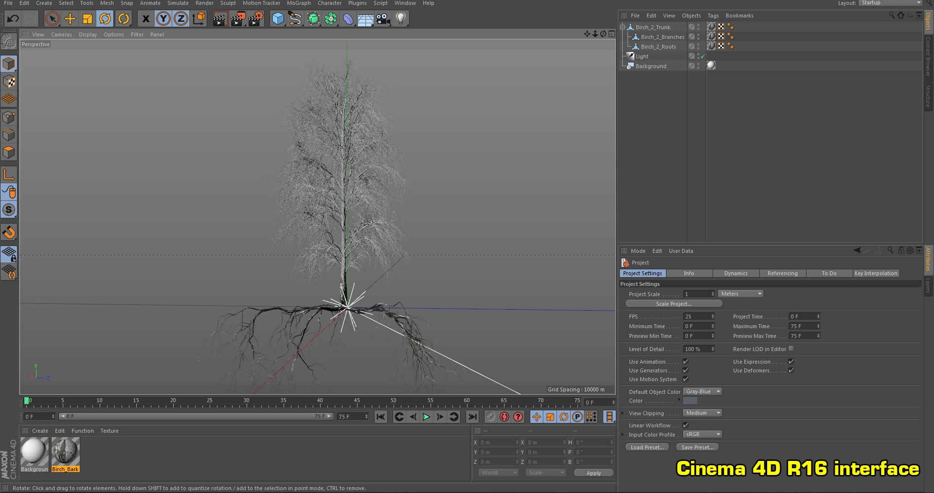 birch dry 2 tree 3D model https://p.turbosquid.com/ts-thumb/g0/eTarEY/CDc1UuRB/screen_c4d/png/1571247179/1920x1080/fit_q87/c157e3e029920e7765c85b36fb85ee3480e8c6eb/screen_c4d.jpg
