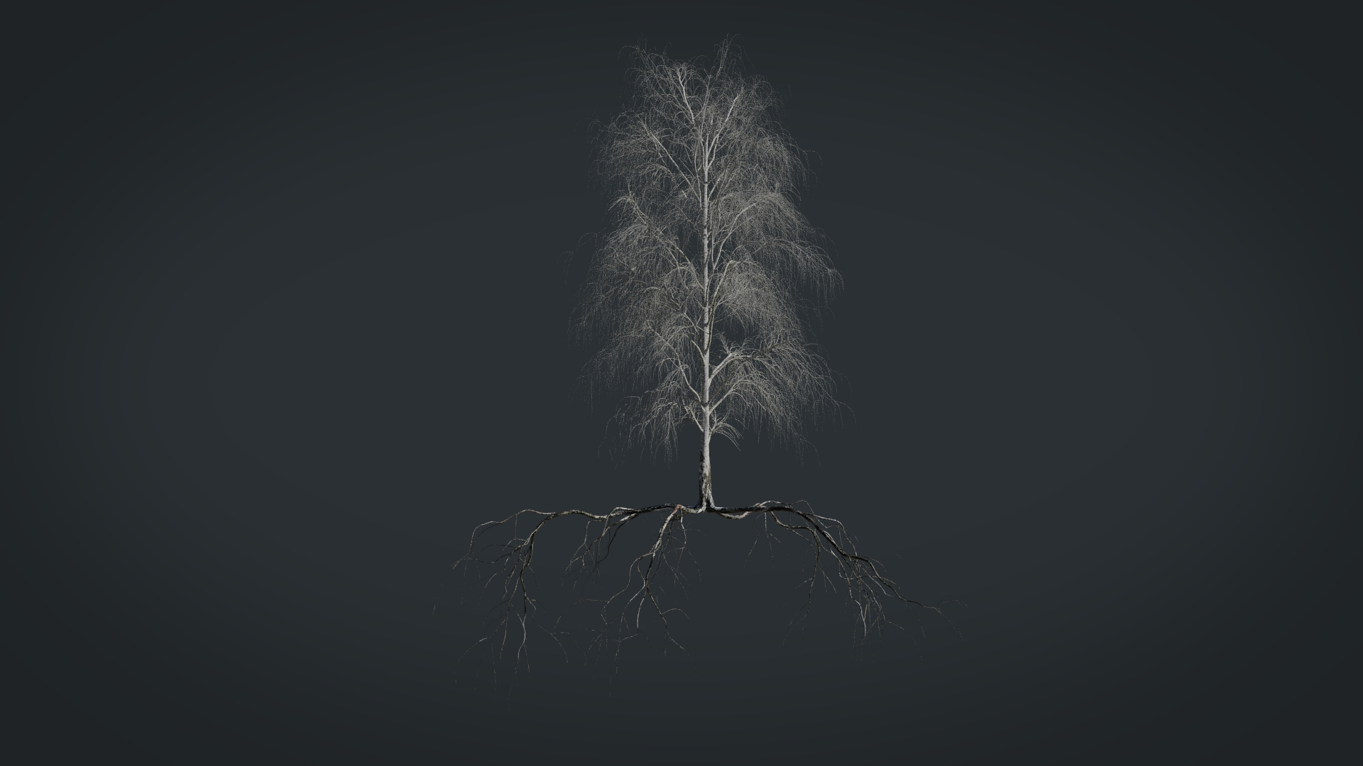 birch dry 2 tree 3D model https://p.turbosquid.com/ts-thumb/g0/eTarEY/NZHEAAHt/01/jpg/1571247184/1920x1080/turn_fit_q99/dd4e4d1204464452cfb3fe0472767de02ebae428/01-1.jpg