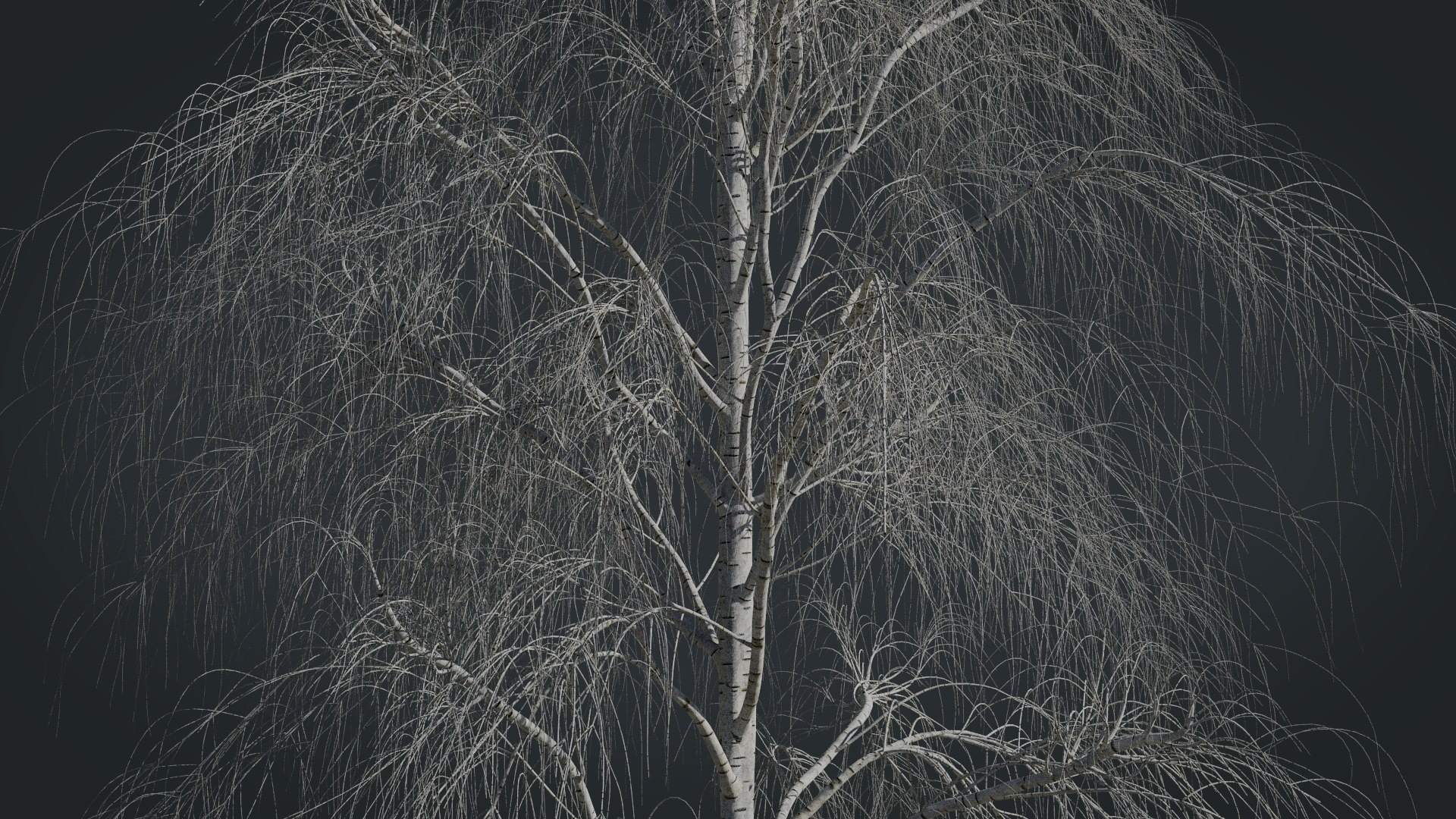 birch dry 2 tree 3D model https://p.turbosquid.com/ts-thumb/g0/eTarEY/Op5XZzAg/render9/jpg/1571247102/1920x1080/fit_q87/2eb30a016ad795c312c4cb7a978a6e9be40bc481/render9.jpg