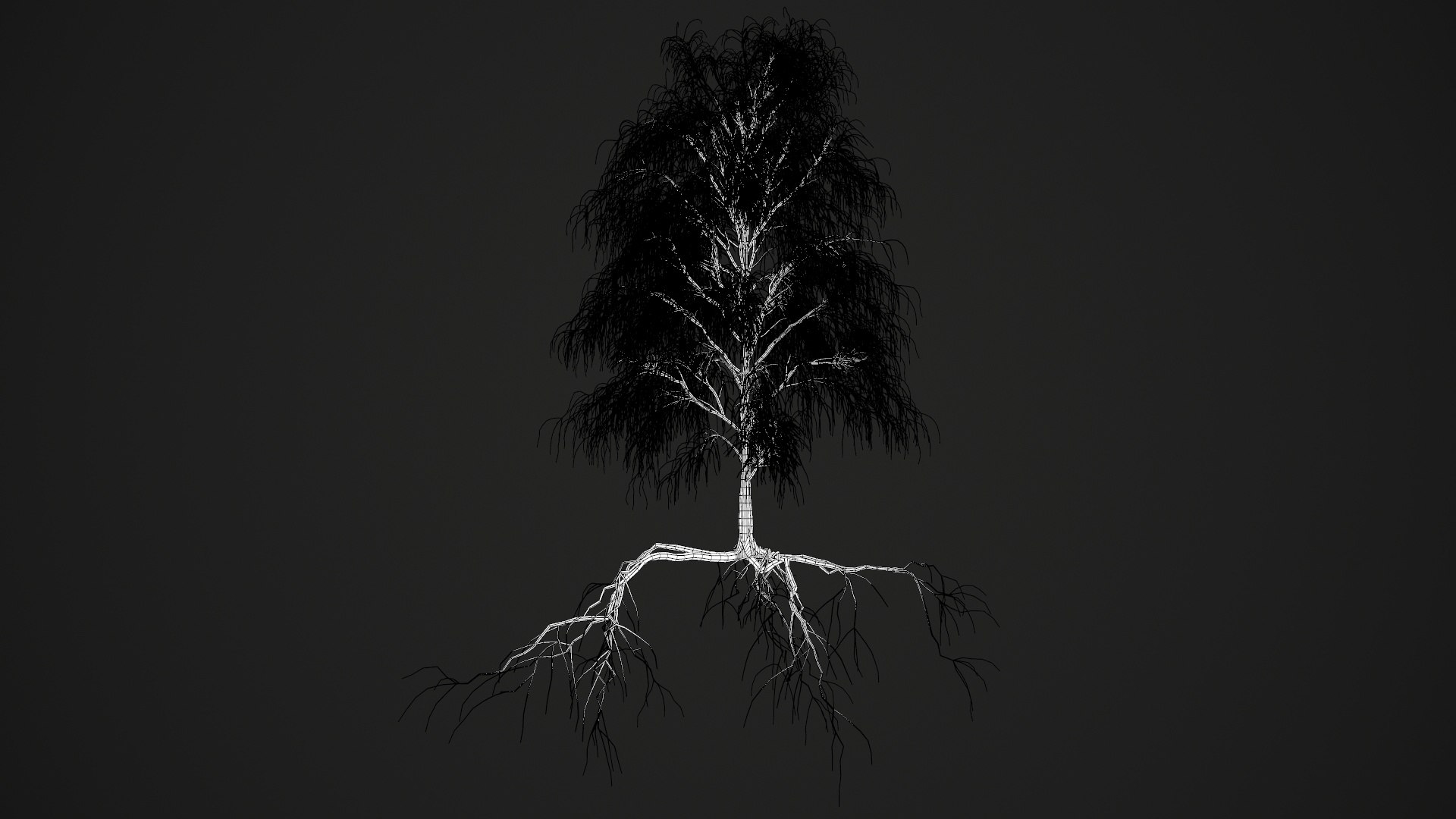birch dry 2 tree 3D model https://p.turbosquid.com/ts-thumb/g0/eTarEY/R4YGsCA1/wire2/jpg/1571247102/1920x1080/fit_q87/0dad4747adda16dd7941d84478c9884ad7096f07/wire2.jpg