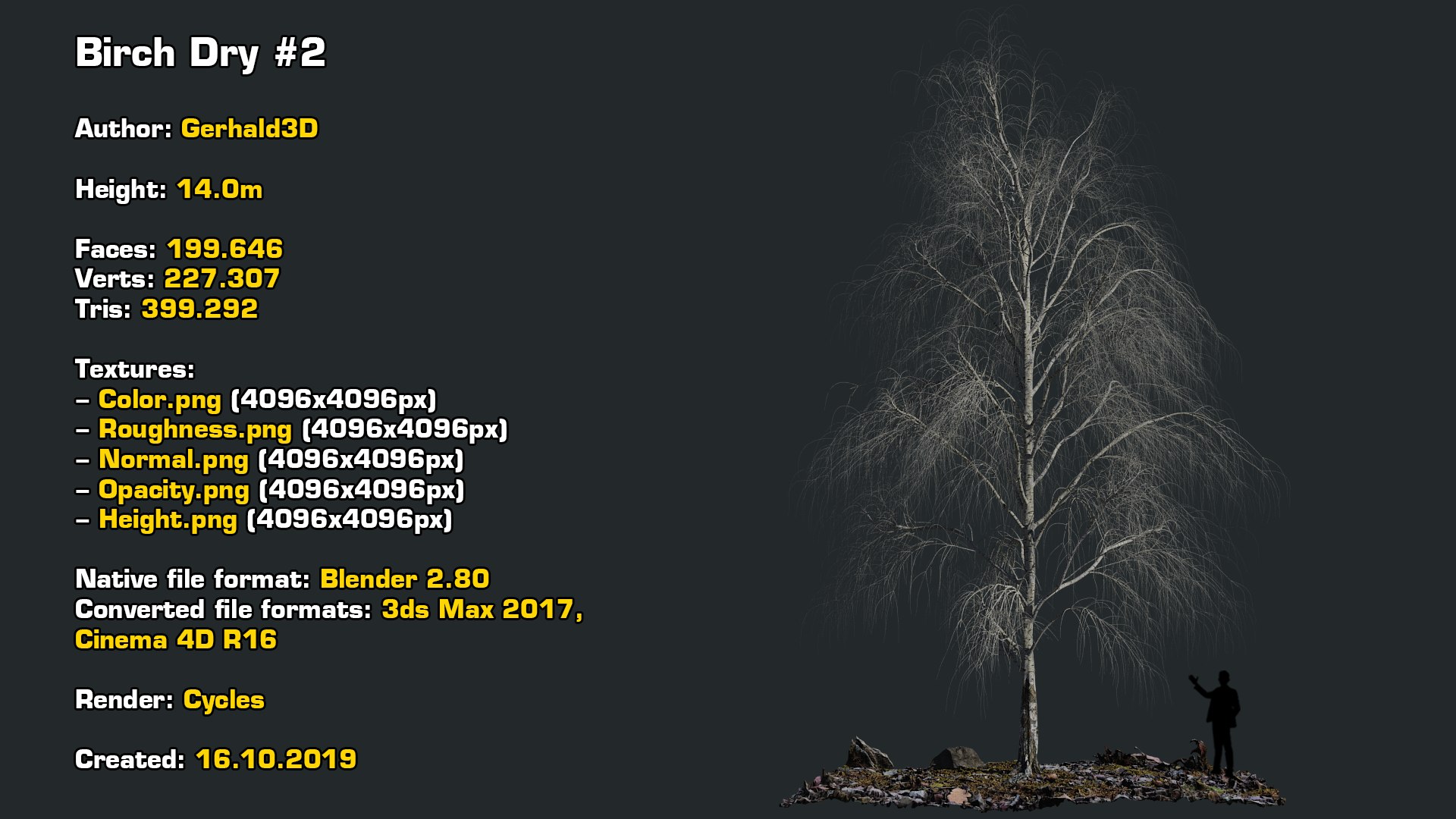 birch dry 2 tree 3D model https://p.turbosquid.com/ts-thumb/g0/eTarEY/WuRDGBxe/stats/png/1571247102/1920x1080/fit_q87/17decb113389b0db160e8202099522fb44de8234/stats.jpg