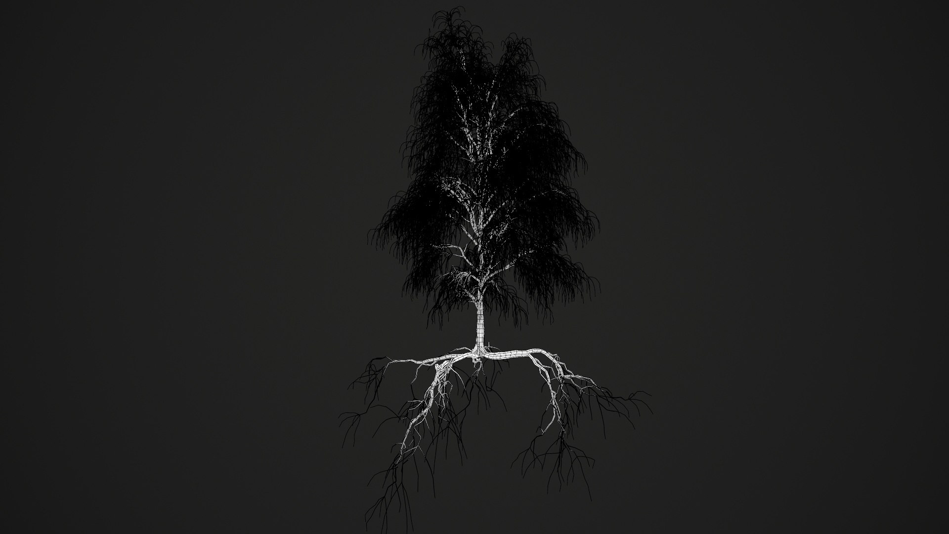 birch dry 2 tree 3D model https://p.turbosquid.com/ts-thumb/g0/eTarEY/XYFG93nX/wire4/jpg/1571247102/1920x1080/fit_q87/f378317dc6ace2c458f3563786c1ea32891aaeb2/wire4.jpg