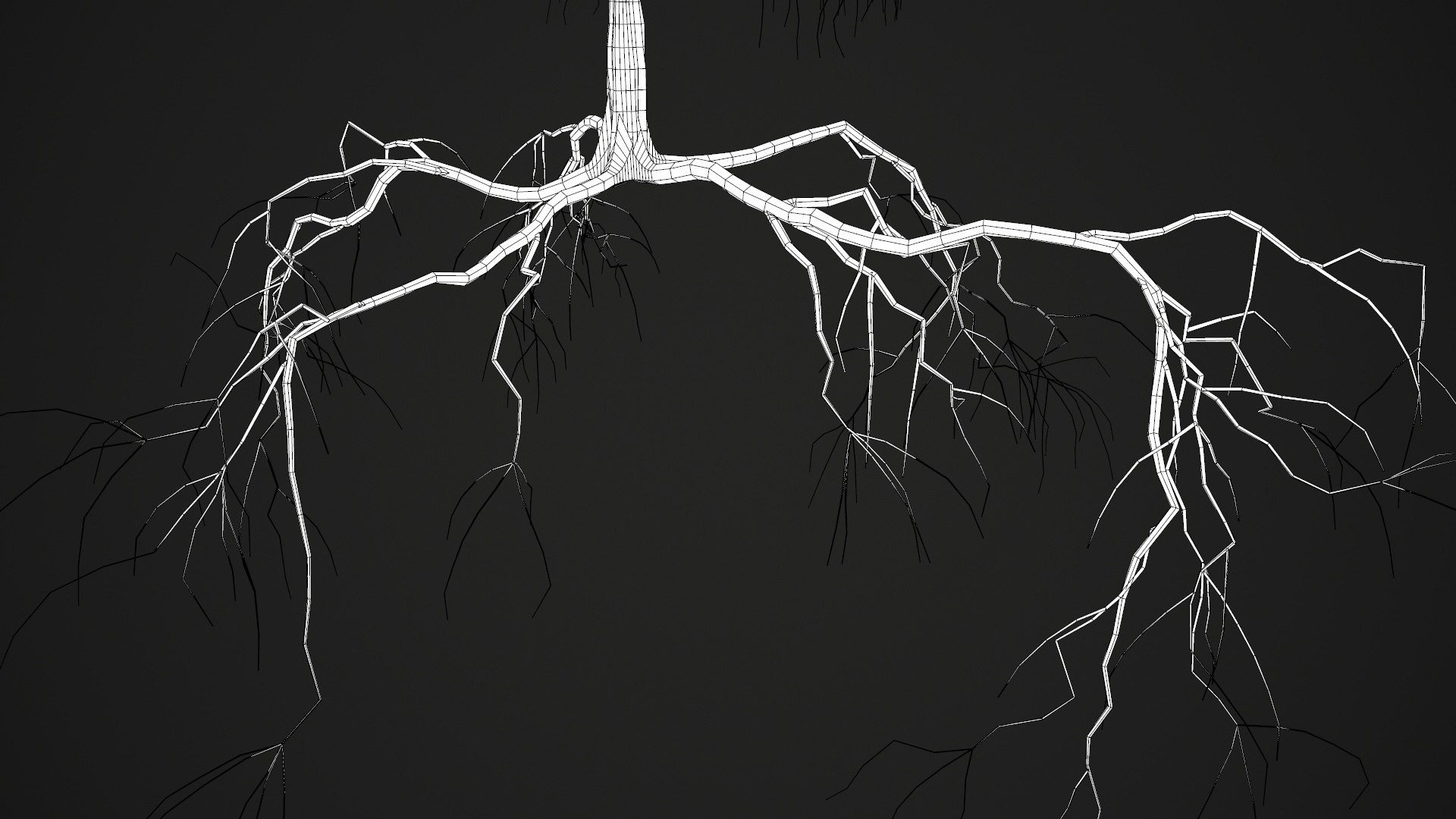 birch dry 2 tree 3D model https://p.turbosquid.com/ts-thumb/g0/eTarEY/YNj1UMrm/wire5/jpg/1571247102/1920x1080/fit_q87/e47ca3b7514ab70f3482d697541521d7d32e9708/wire5.jpg
