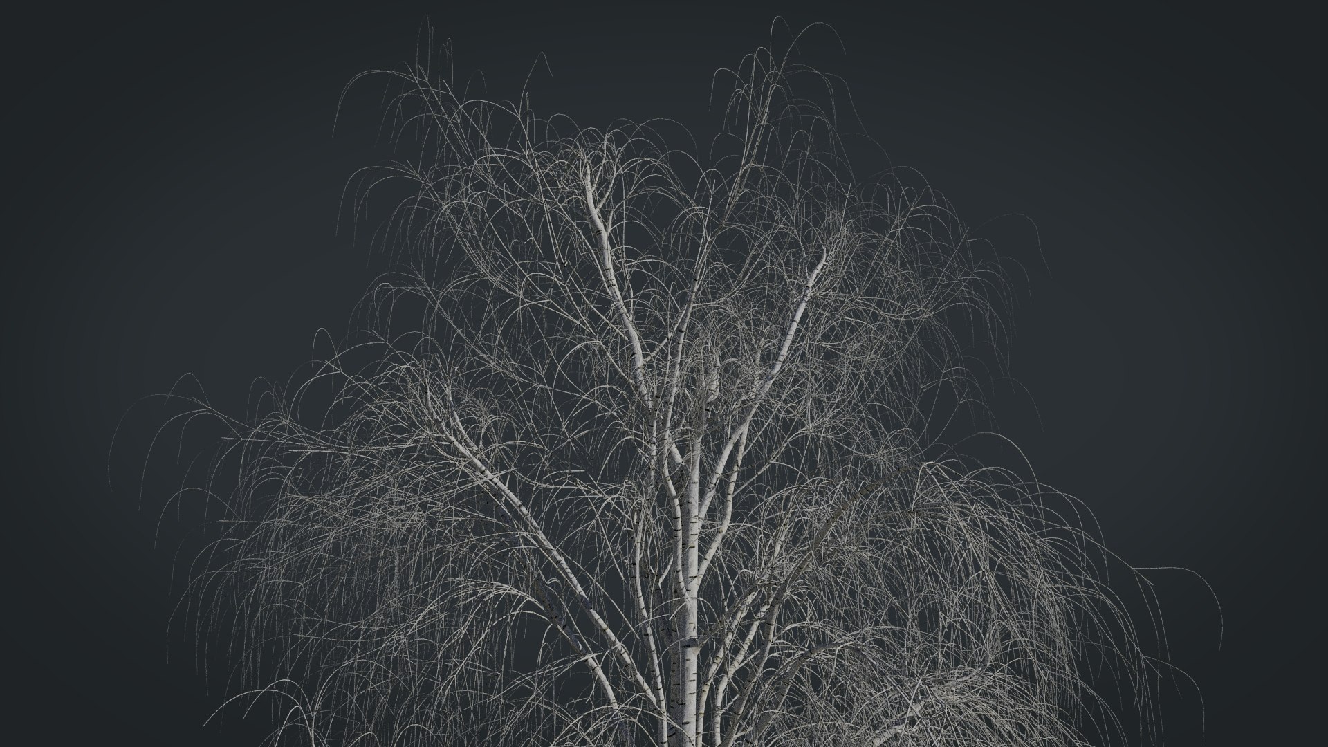 birch dry 2 tree 3D model https://p.turbosquid.com/ts-thumb/g0/eTarEY/ZwCgmocG/render10/jpg/1571247102/1920x1080/fit_q87/27311ca538fabce56a83a0a2135efba967aabec2/render10.jpg