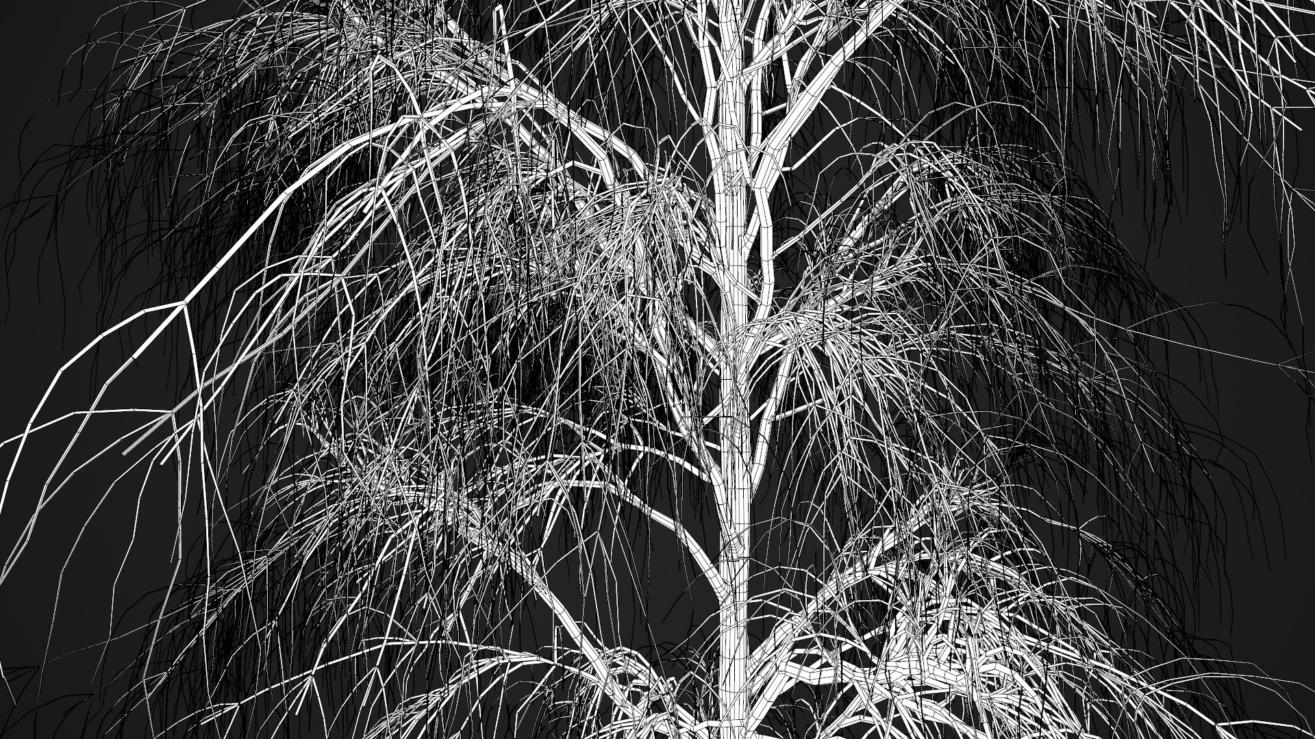 birch dry 2 tree 3D model https://p.turbosquid.com/ts-thumb/g0/eTarEY/b6ZRbBA5/wire8/jpg/1571247102/1920x1080/fit_q87/5cf01140ecdd3ef492ba4b6df085a1ac8687f244/wire8.jpg
