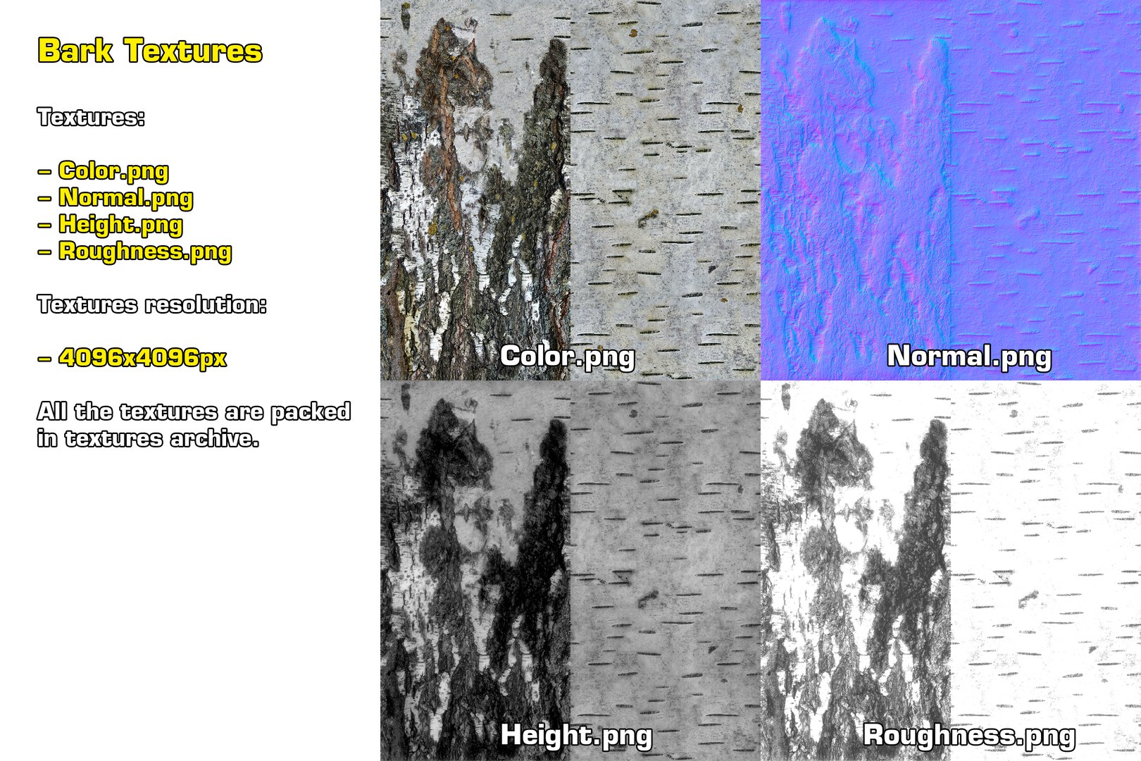 birch dry 2 tree 3D model https://p.turbosquid.com/ts-thumb/g0/eTarEY/bFkYgSCb/textures_2/png/1571247102/1920x1080/fit_q87/95793f39f51157fd2532f7898efca5513e5905ce/textures_2.jpg