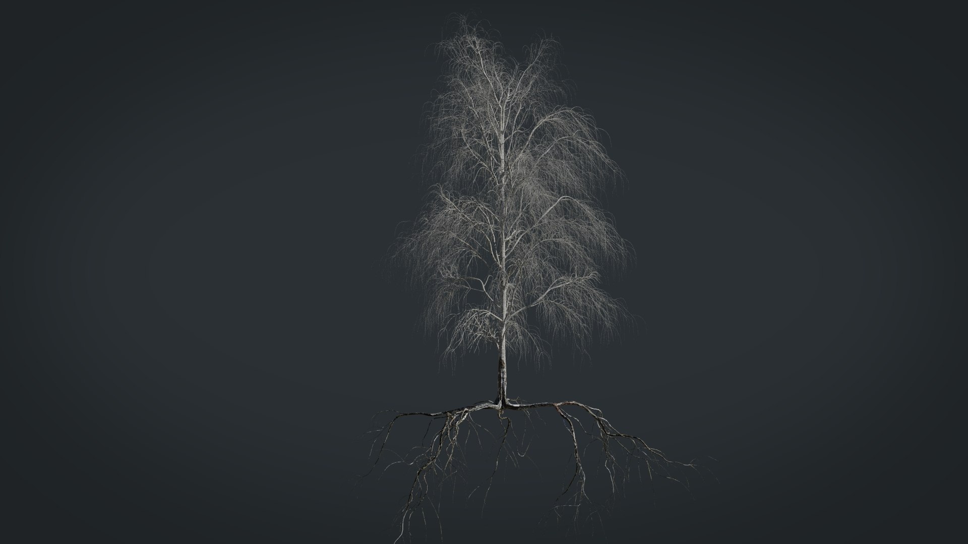 birch dry 2 tree 3D model https://p.turbosquid.com/ts-thumb/g0/eTarEY/oKtg9bj9/render2/jpg/1571247101/1920x1080/fit_q87/e3fd28b3c23deb1d49dc4b0f5c5aa6afff5fa432/render2.jpg
