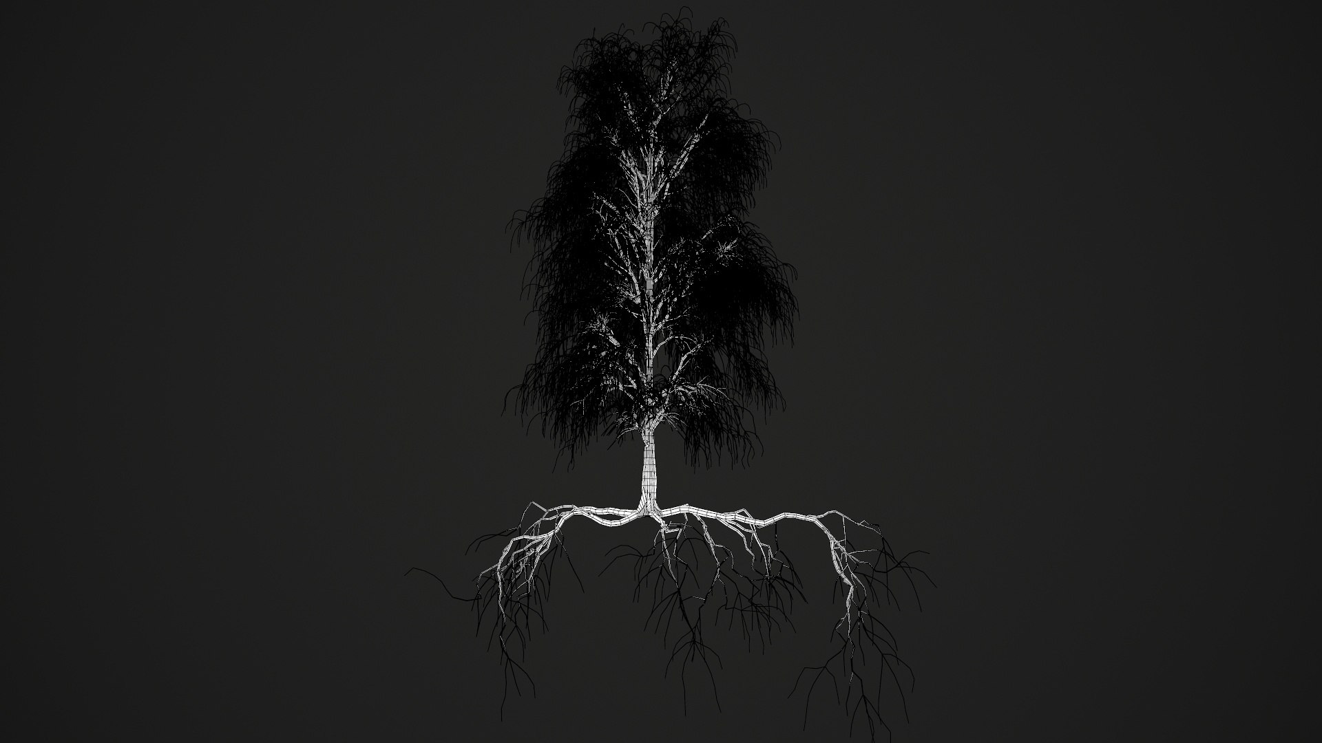 birch dry 2 tree 3D model https://p.turbosquid.com/ts-thumb/g0/eTarEY/vtKXb8KX/wire1/jpg/1571247102/1920x1080/fit_q87/5b27d63fd29af59981dc1c37a3bb70a8446954b0/wire1.jpg