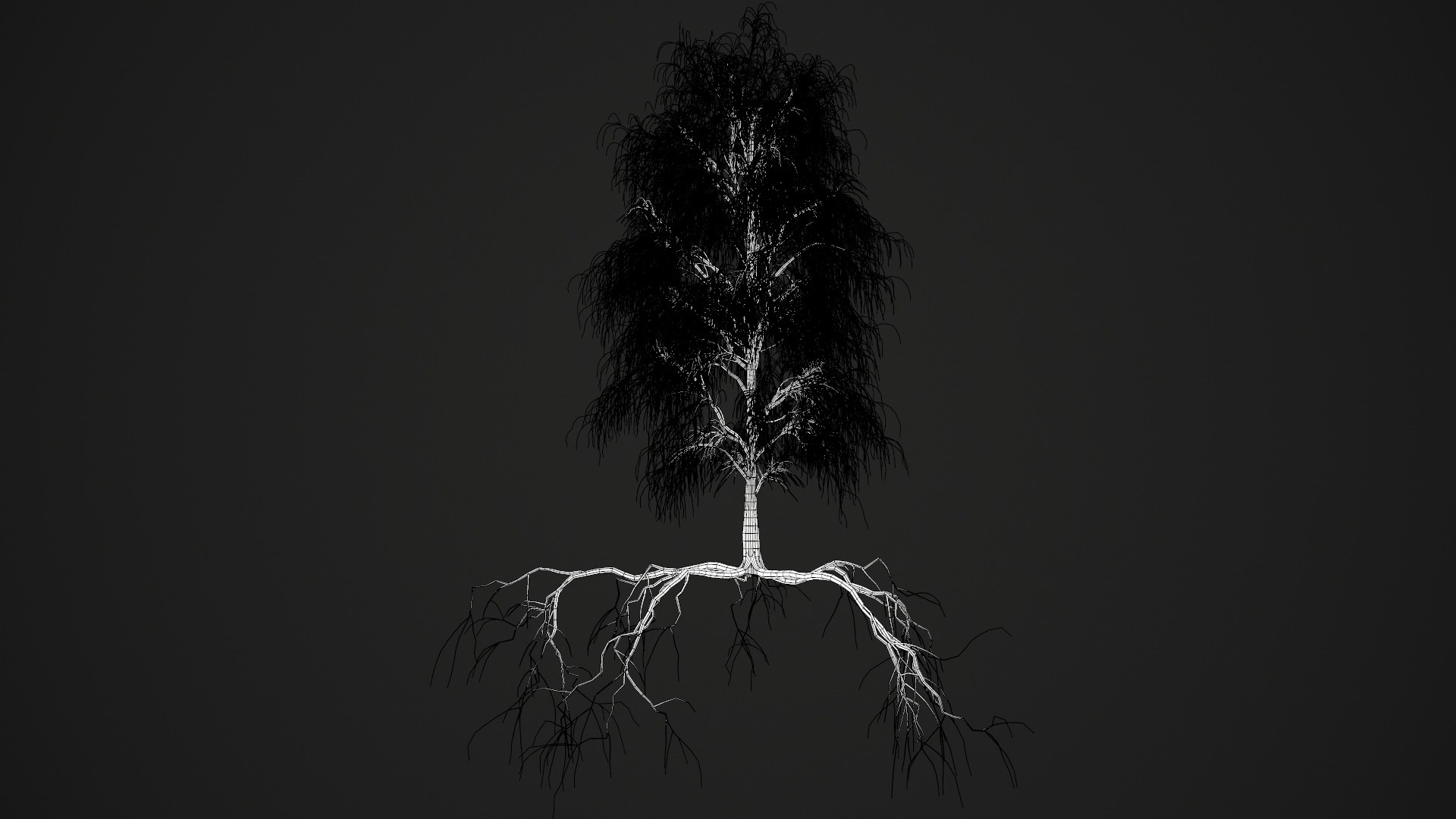 birch dry 2 tree 3D model https://p.turbosquid.com/ts-thumb/g0/eTarEY/yMeR2V2k/wire3/jpg/1571247102/1920x1080/fit_q87/ef1cd7d6182afa9a2ee200835c910112eaaf62e3/wire3.jpg