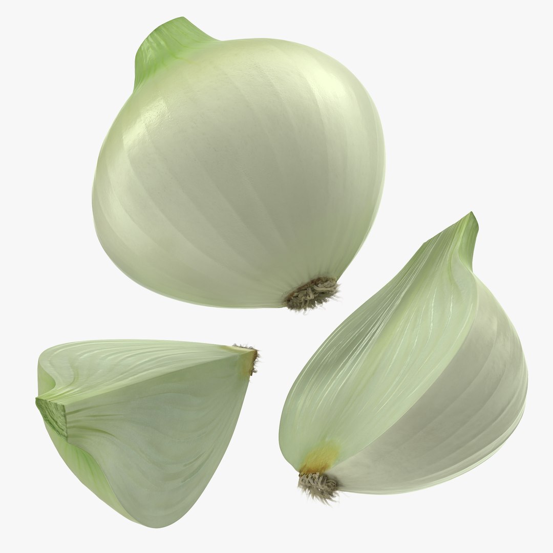 Onion Collection 2 3D model preview