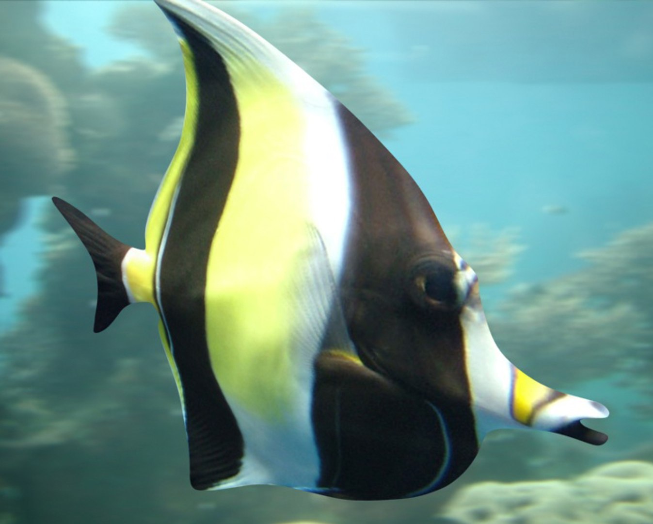 Fish 02 Max