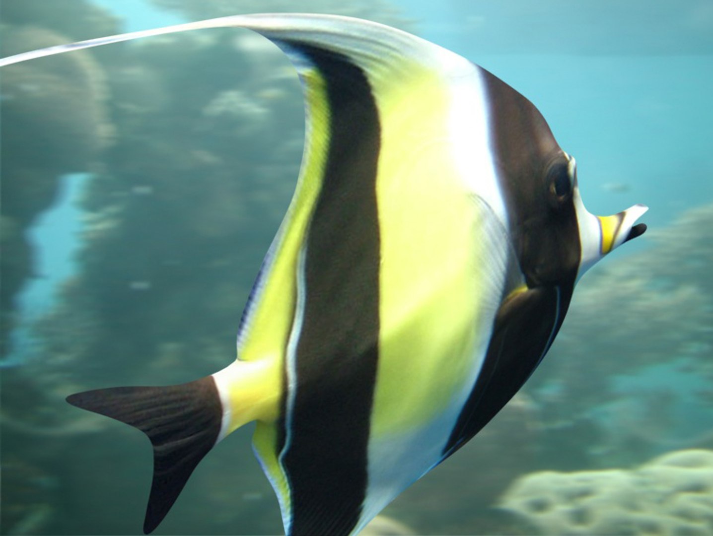 Fish 02 Max