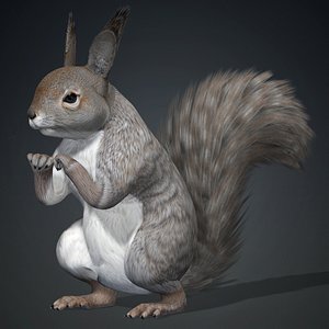 3D Squirrel-A1