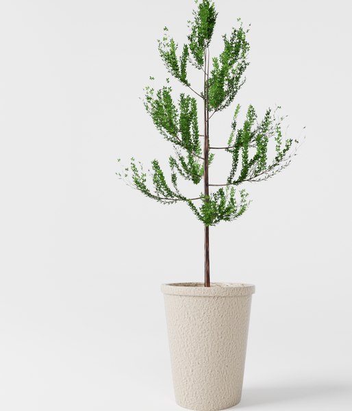 3D small tree - TurboSquid 1174591