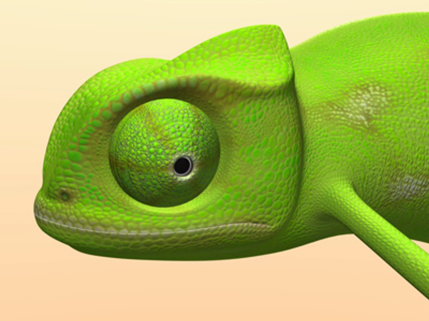 Chameleon 3d Obj