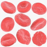 Erythrocytes