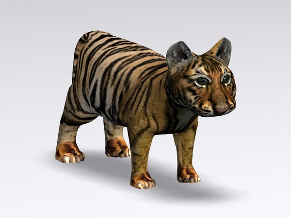 Filhote de tigre Modelo 3d