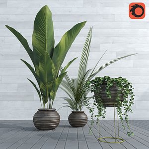 palm banana leaves 3D model