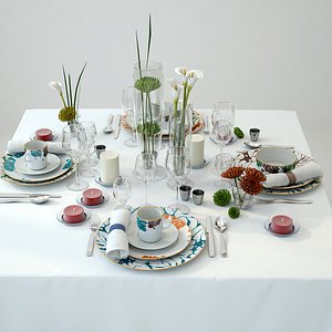 tableware 1