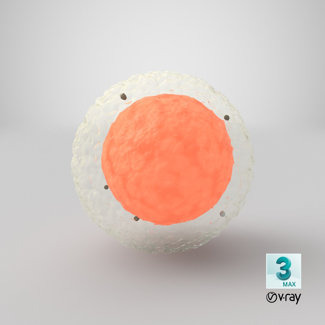 Egg Cell 3D https://p.turbosquid.com/ts-thumb/g1/IzZ7Gl/Qh/stemcell_max_vray_render/png/1657791399/1920x1080/fit_q87/59be0beda9107c0c787b8bcfcf3af3b09ca61a83/stemcell_max_vray_render.jpg