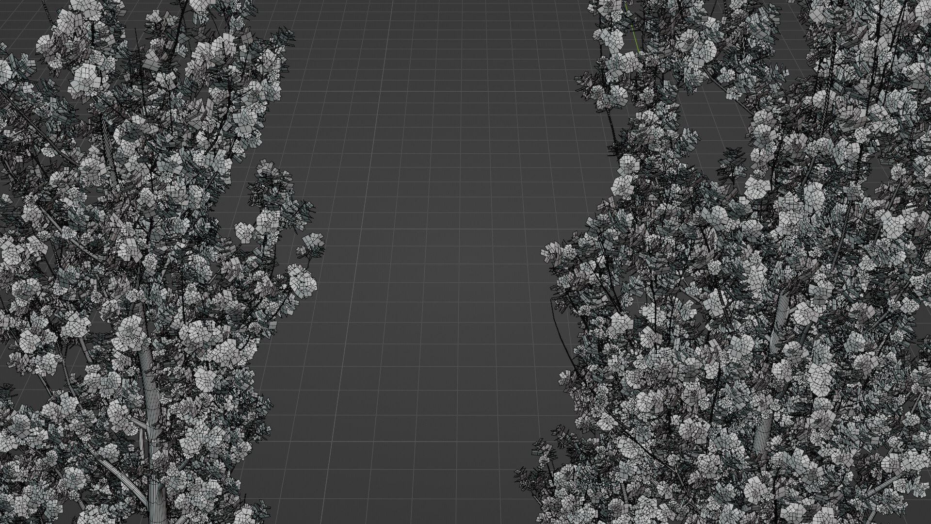 Black Poplar model https://p.turbosquid.com/ts-thumb/g1/Jvwr4d/DY/05untitled/png/1685199566/1920x1080/fit_q87/43bfd254ea475ee4343841acbcc41fa1c9d60497/05untitled.jpg