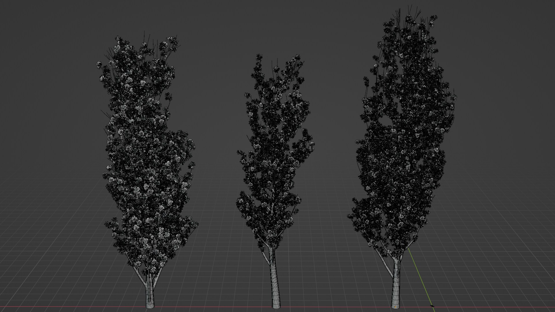 Black Poplar model https://p.turbosquid.com/ts-thumb/g1/Jvwr4d/fJ/04untitled/png/1685199560/1920x1080/fit_q87/9559ae1c4a8cedca5cec83183aee43267d4da47c/04untitled.jpg