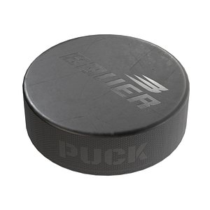 Ice hockey puck 3D model