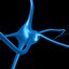 Synapse02