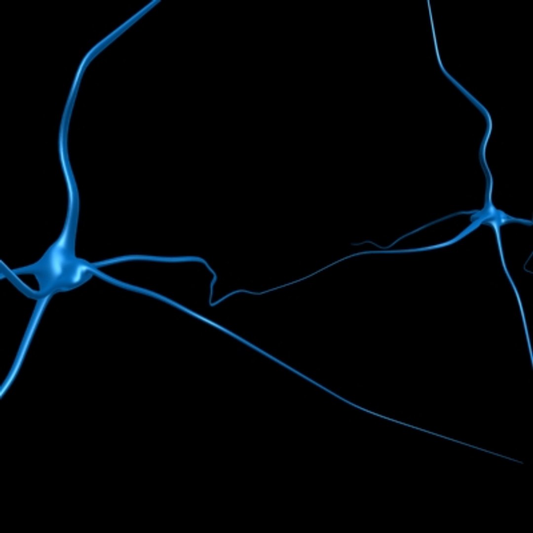 synapse 3d x https://p.turbosquid.com/ts-thumb/g1/MzgWHR/o0LvCuFS/synapse01/jpg/1225464764/1920x1080/fit_q87/6b26c641a765ad8475ac05bdd09055e163256c15/synapse01.jpg